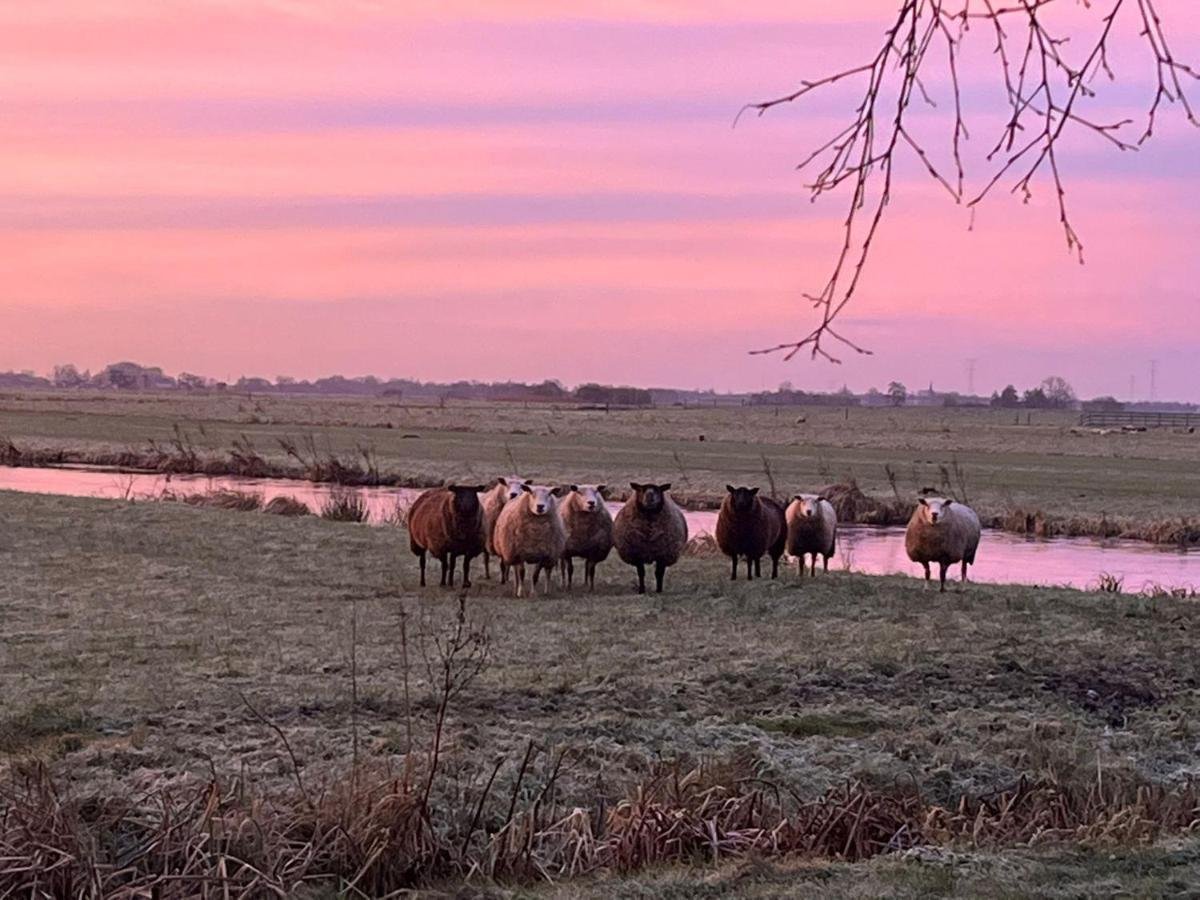 B&B De Beijersche Stee, Logies Aan De Waterkant Stolwijk Exteriér fotografie